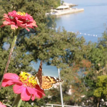 Villa Lela * Medveja