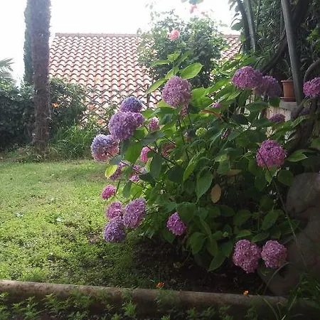 Villa Lela Appartement