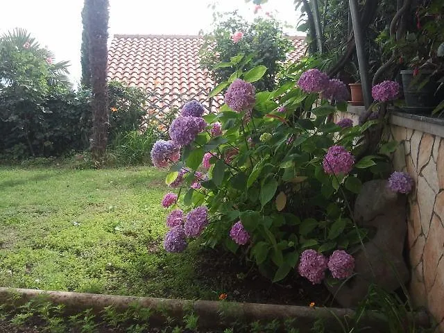 Villa Lela Apartman